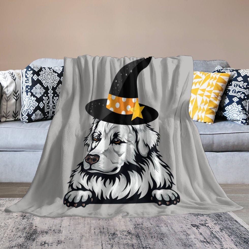 Plaid Halloween pour chat et petit chien idéal pour le canapé