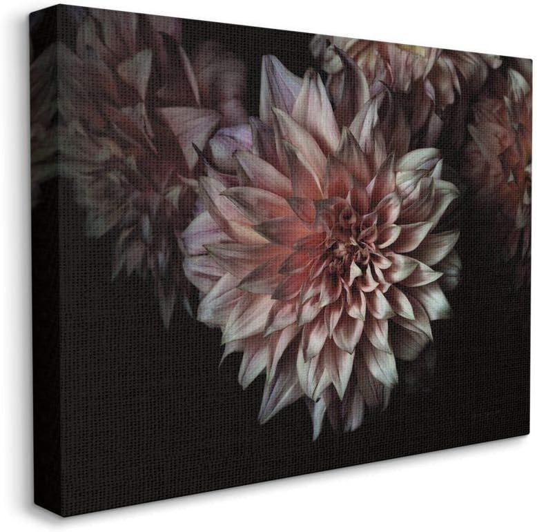 Stupell Industries Aged Flower Curved Petals Pink Black Photograph, Designed by Elise Catterall Wall Art, 24 x 30, Canvas