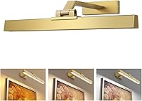 Afyuol Brushed Gold 16in Battery Picture Light - Dimmable CCT Wall Art Light w/ Remote, Rechargeable for Gallery & Living Room