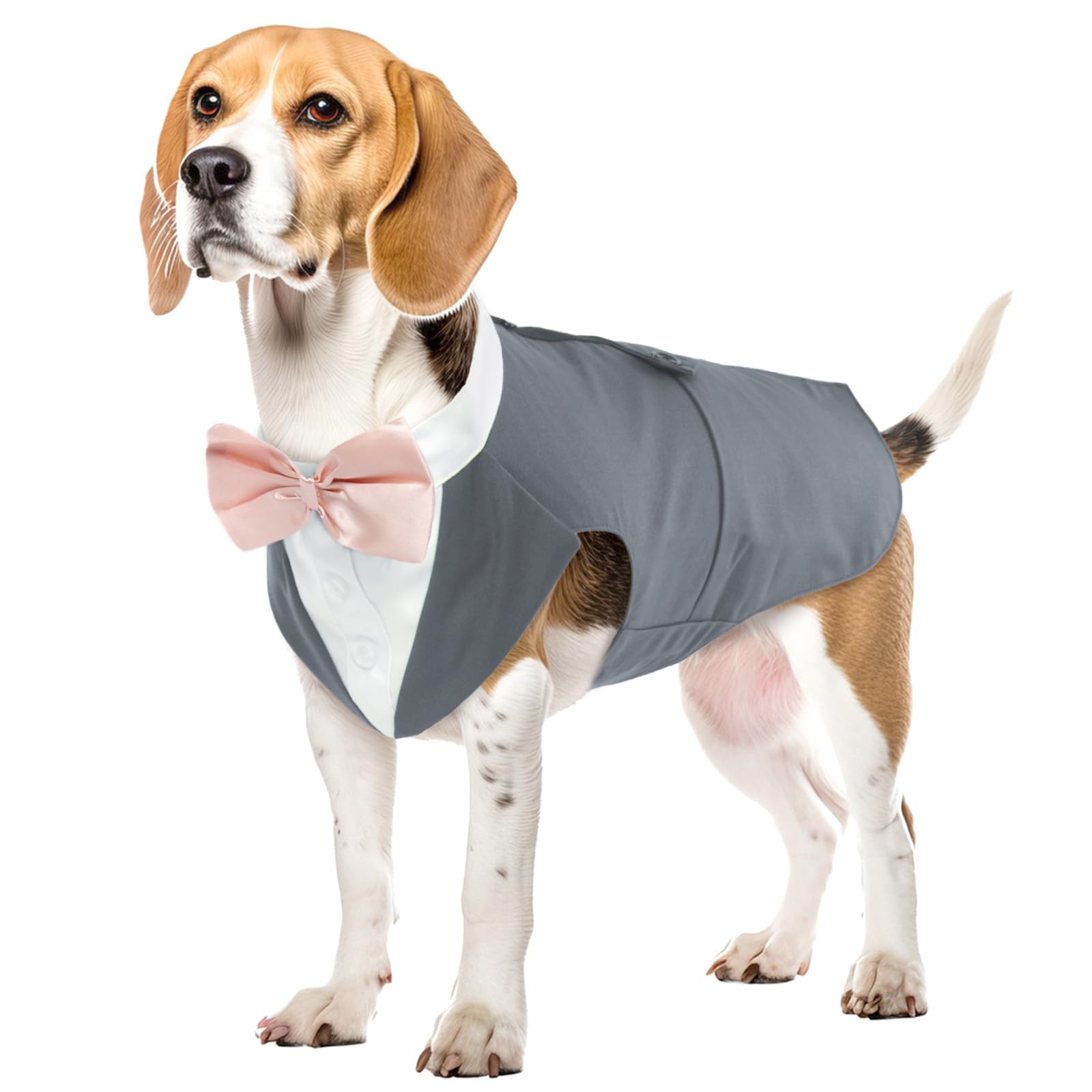 Hund Smoking Bandana Mit Fliege – Verstellbar, Für Mittelgroße/große Hunde, Größe L