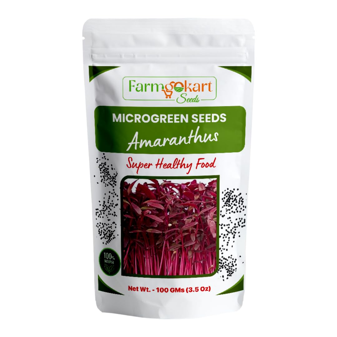 AMARANTHUS - RED MICROGREEN SEEDS | 100 Gms |- Non-GMO, Heirloom Seeds for Growing Microgreens in Soil, Coconut Coir, Aerogarden & Hydroponic | (B0D69VW5WS) Amazon Price History, Amazon Price Tracker