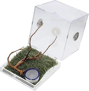 Ipetboom Caixa De Reprodução De Aranha Saltadora Recipientes De Vidro Miro Umidificadores Recipiente Transparente Gaiola De Lagarto Mini Tanque De Réptil Aranha Saltadora Caixa De Paisagem