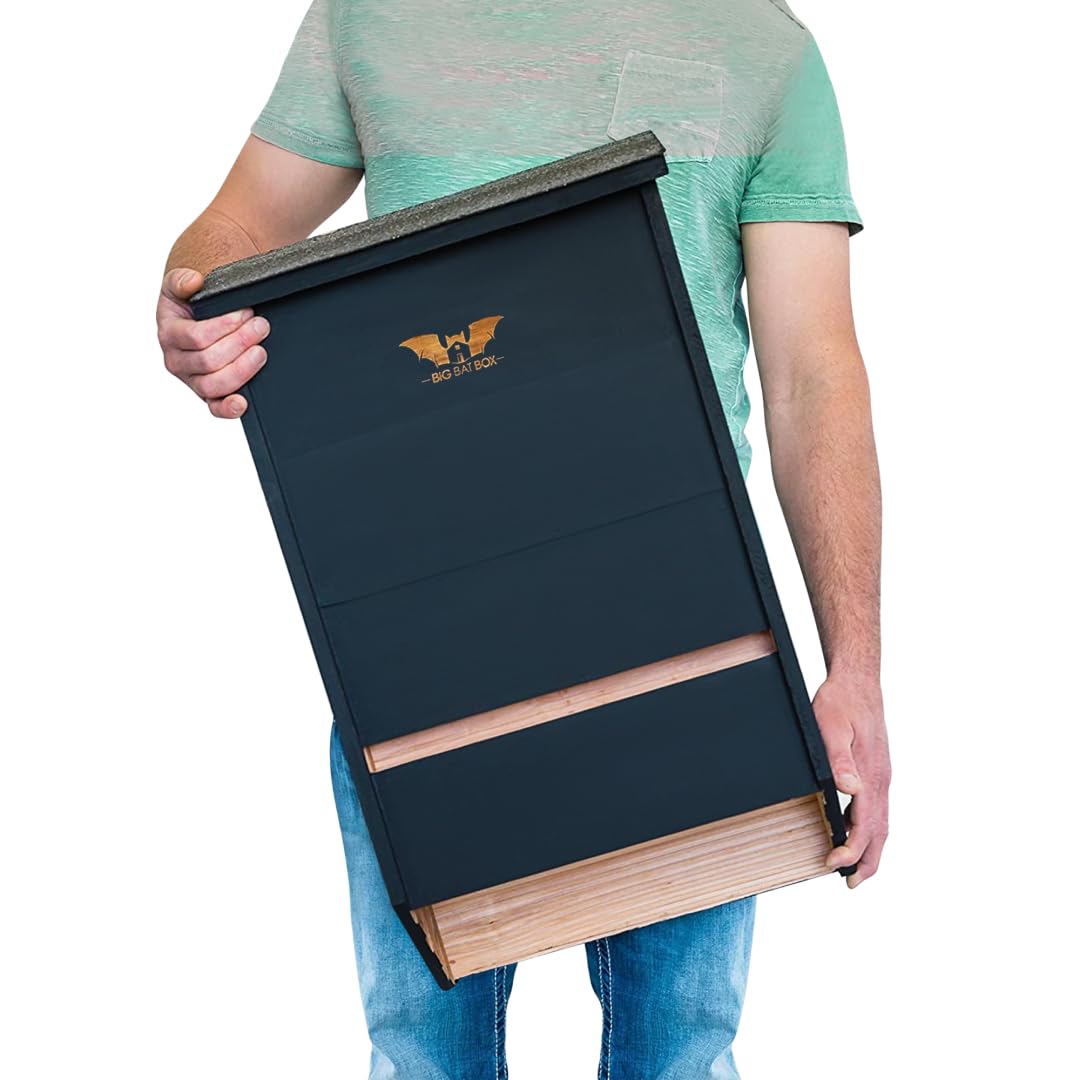 WildYard Bat Houses for Outdoors - Black 3 Chamber Model - Pole, Wall & Tree Mount Bat Roosting Box & House Kit for Backyard
