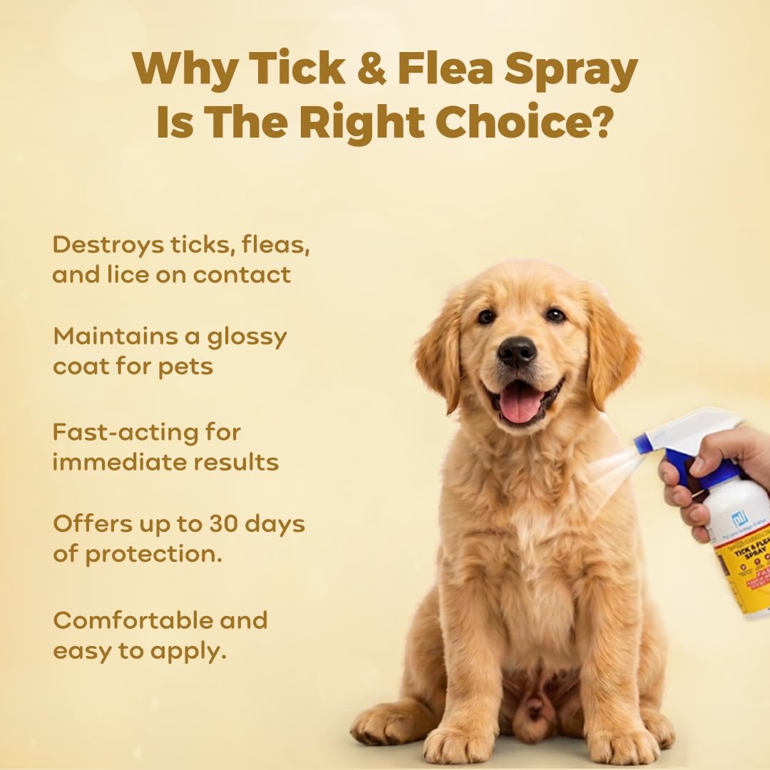 PIL Tick & Flea Spray for Dogs & Cats | Fast-Acting, Long-Lasting Formula | Treats Acute Infestations | 100ml