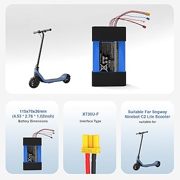 Amazon.com: MLGBDC 21.6V Electric Scooter Battery for Segway