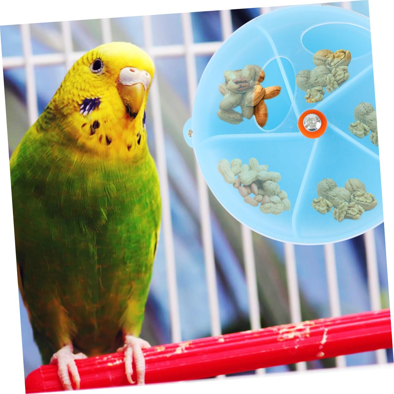 Beaupretty 3pièces Distributeur Interactif pour Oiseaux Jouet à Mâcher pour Perroquets Boîte De Foraging Forme De Roue Bleu pour Cockatiels Et Conures