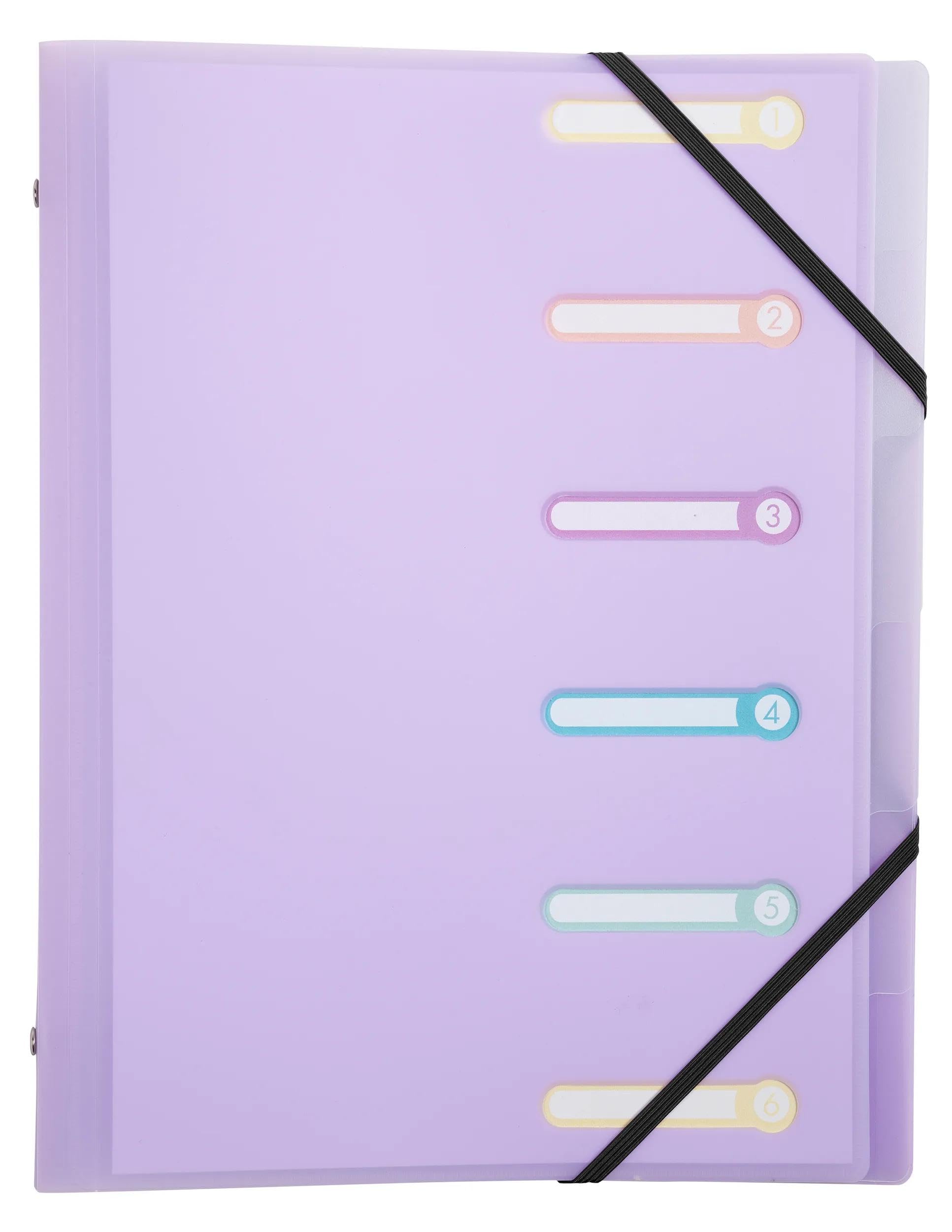 Exacompta - Réf 56170E - Carton de 10 trieurs Chromaline Pastel - 3 rabats - avec élastiques et fenêtres découpées - couverture et intérieur en PP - 6 compartiments - dim 25x32cm - pour A4 - assorties