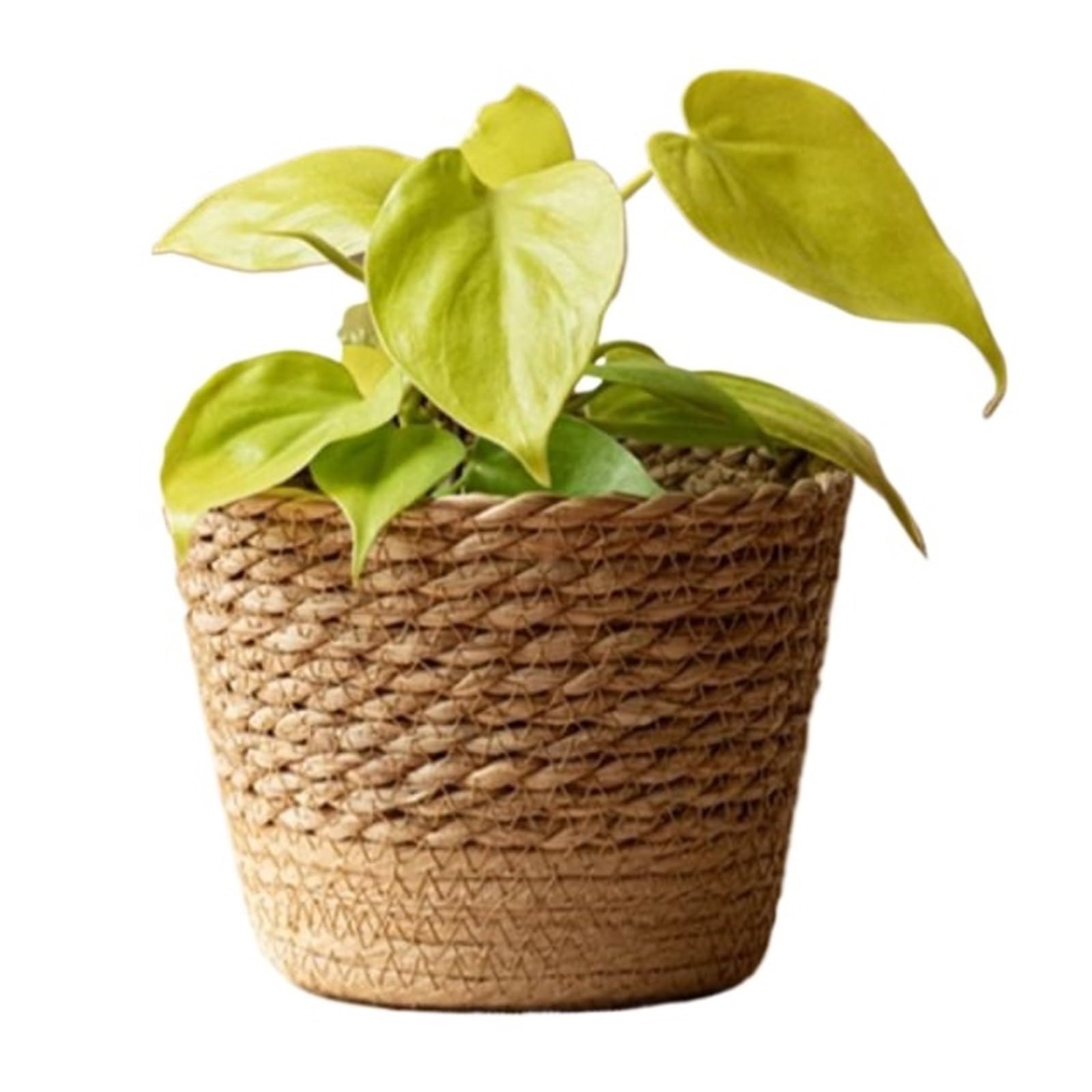 DUNSBY Woven Planter 4pcs Straw Weaving Flower Plant Pot Wicker Basket Rattan Flowerpot Storage Garden Handmade Woven Planter(Medium)