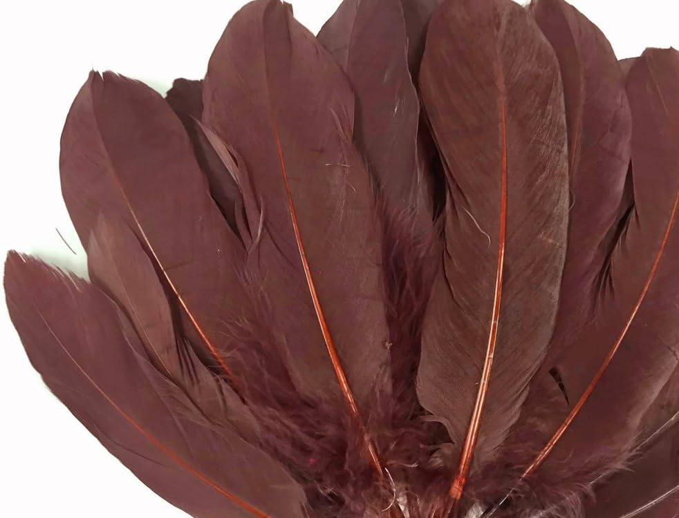 Moonlight Feather | 1/4 lb - Brown Goose Satinettes Wholesale Loose Feathers (Bulk) Craft Costume Supplier