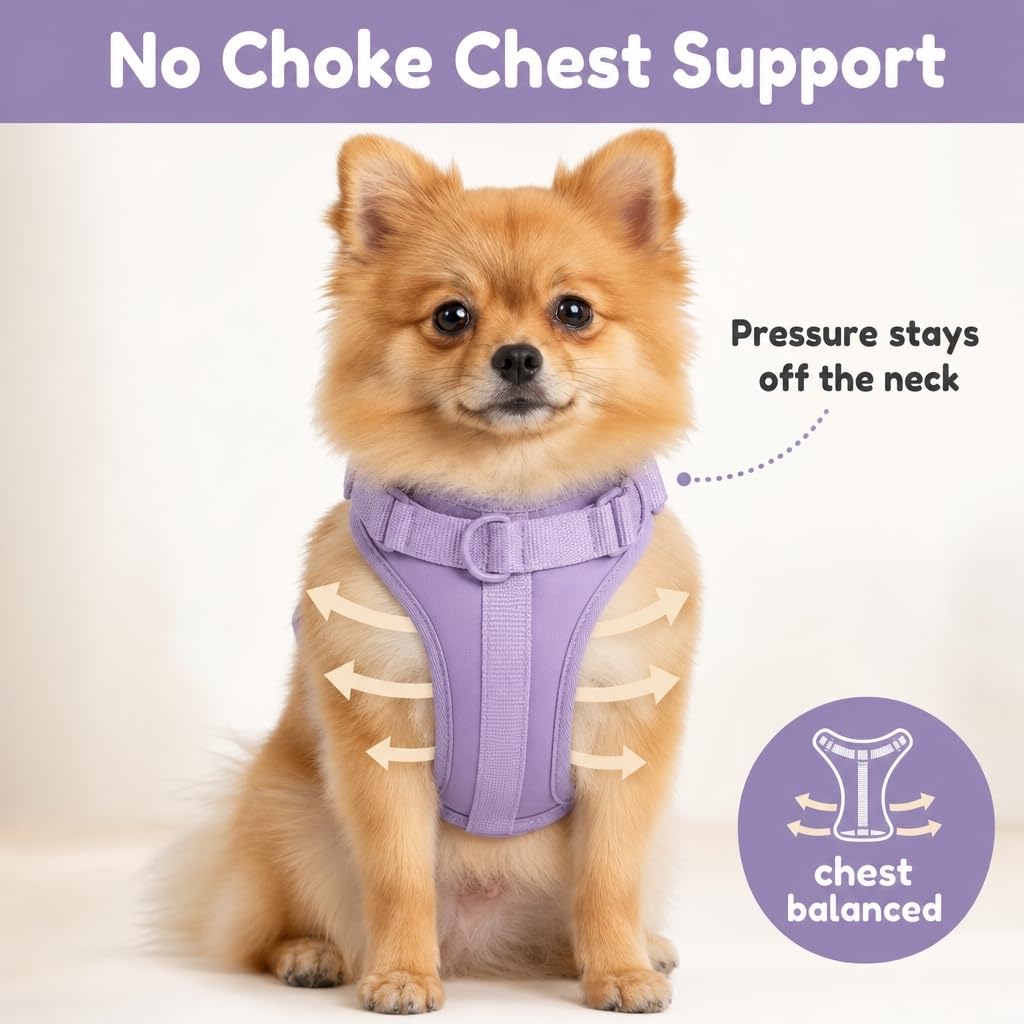 Arnés para perro, arnés para mascotas sin tirones con 3 clips de correa, chaleco acolchado suave ajustable, cojín de malla transpirable para perros pequeños, medianos y grandes (morado, pequeño