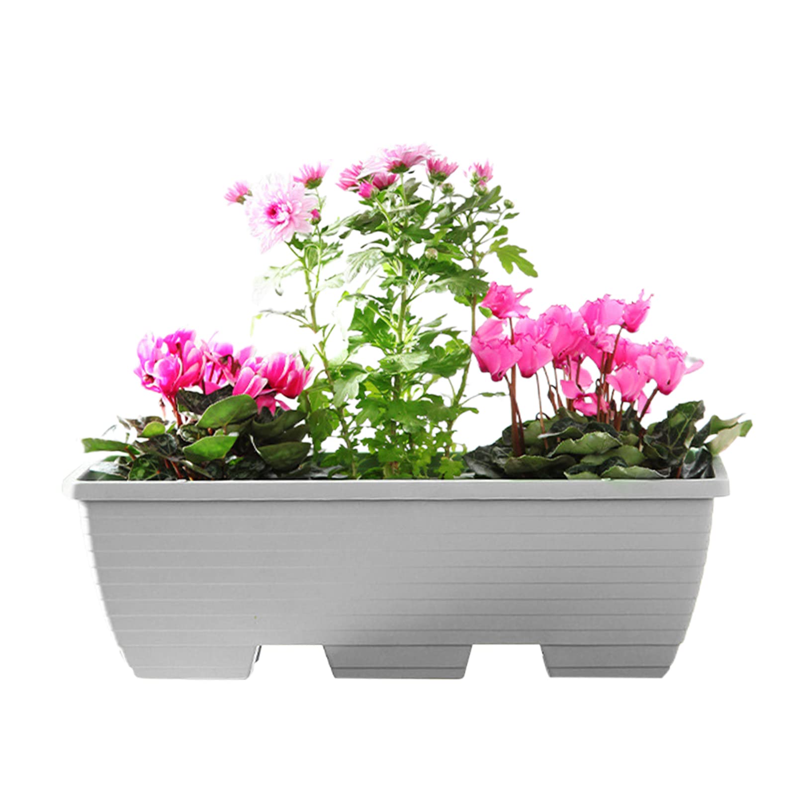 bac-a-fleurs-bois-rebord-fenetre-bois-plantes-succulentes