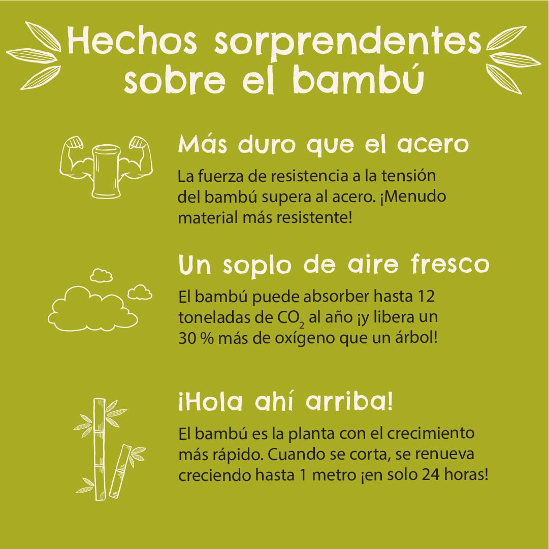 Munchkin Taza Silicona Bambú Abierta Bebé | 150ml | 360