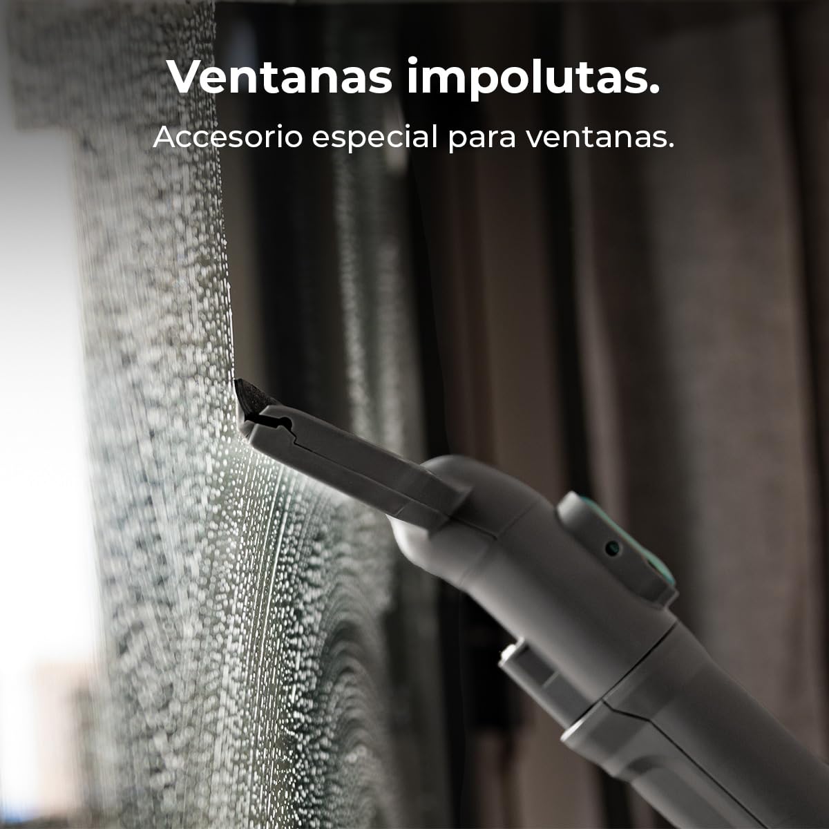 Cecotec Limpiador Aspirador de Tapicerías y Alfombras, Aspiradora de Trineo Conga CarpetClean 10000 EasyHome. 800W, Depósito de Agua Limpia 3L y Agua Sucia 1,5L, Multisuperficie, Kit Accesorios