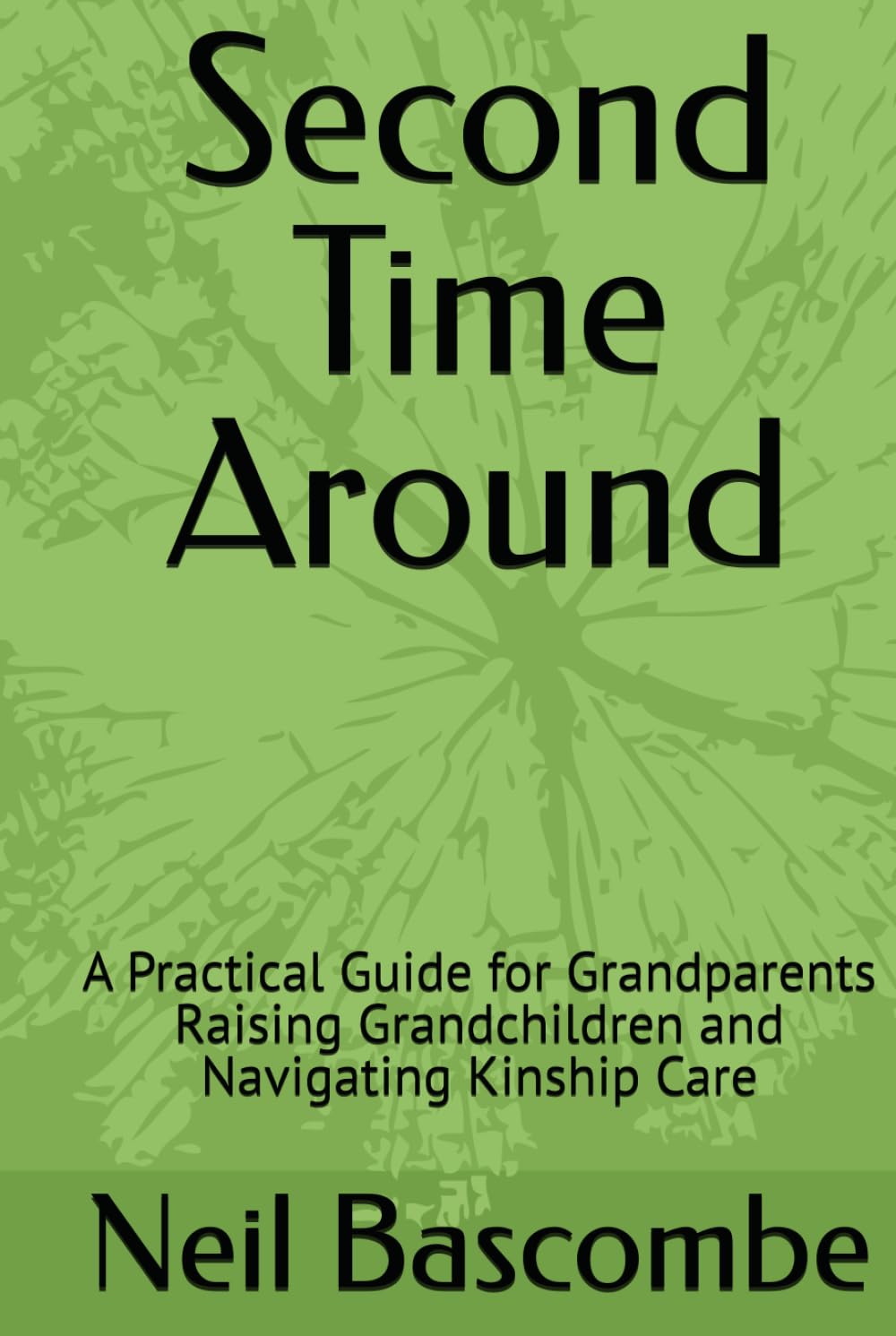 Second Time Around: A Practical Guide for Grandparents Raising Grandchildren and Navigating Kinship Care