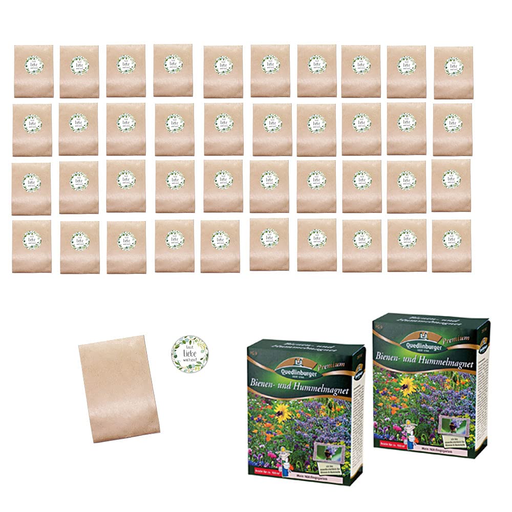 DIY Gastgeschenke-Set mit Blumen-Samen "Lasst Liebe wachsen" Botanical Eukalyptus für 40 Personen- 82 Teile - 40 Beutel + 40 Sticker + 200 gr. Blumensamen Taufe & Hochzeit Zubehör & Accessoires