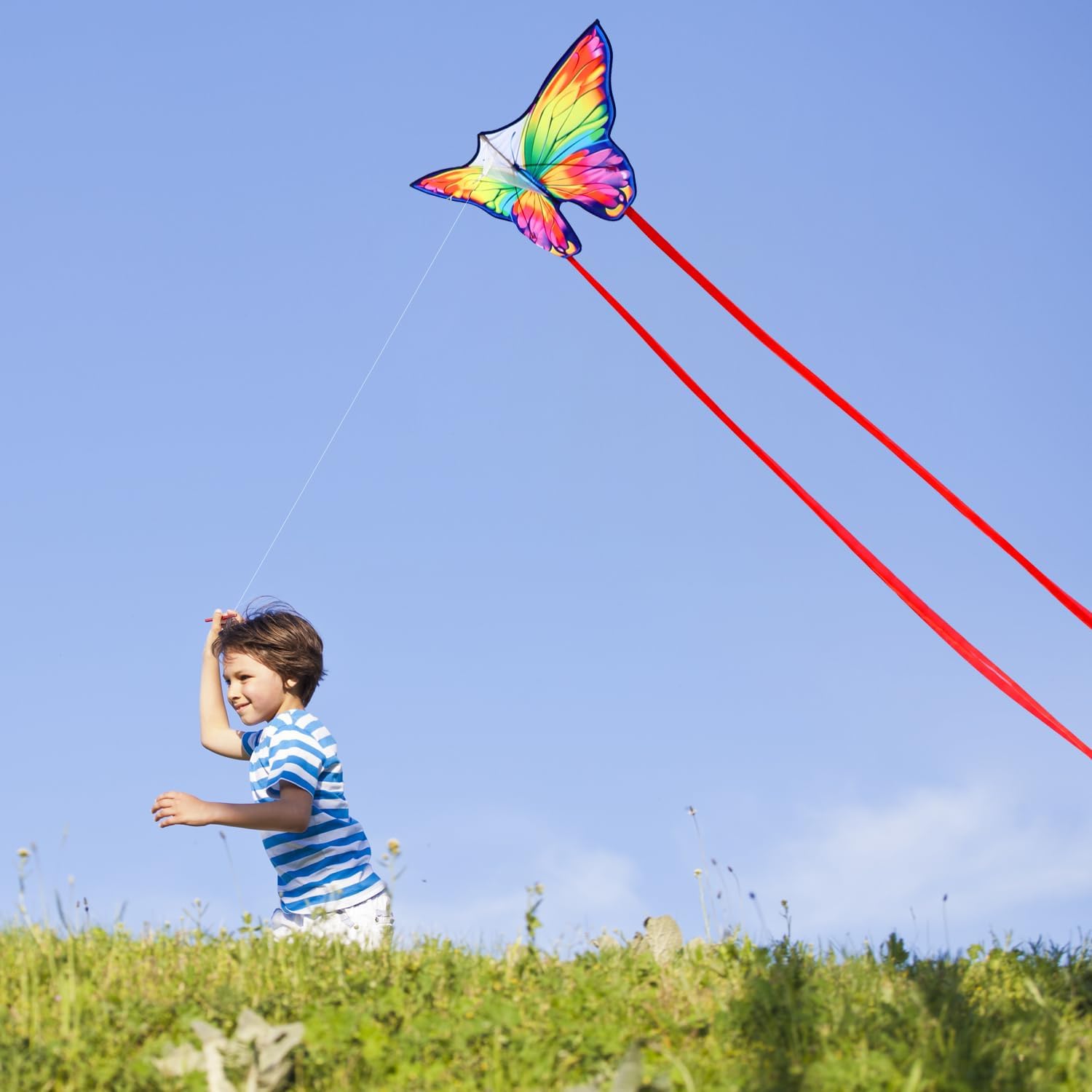 Butterfly Kites for Kids & Adults, Easy to Fly Design with Long Tail for Stability, for Kids Ages 4-8 & Beginners, Beach & Park Use | Family Outdoor Fun