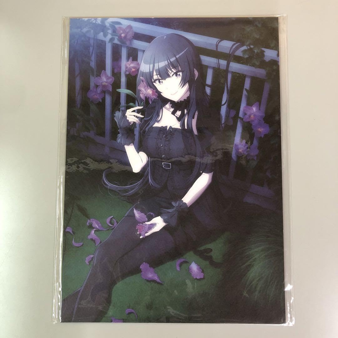 Amazon.co.jp: スパイ教室 アニメ描き下ろしA4イラストボード ティア
