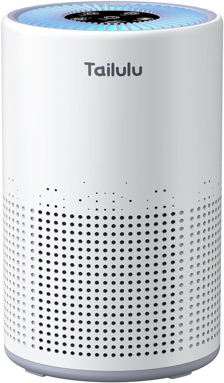 Air Purifiers for Bedroom Home Pets 1200 Ft², Tailulu H13 True HEPA Air Filter Portable Air Purifier with 12dB Sleep Mode, Speed Control, Timer, Quiet Air Cleaner For Odor Dust Smoke Pollen AP050