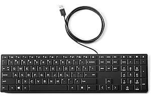 HP USB Bulk Wired Keyboard Pack (2 Pack)