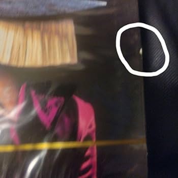 Amazon.co.jp: CD2枚SIA GREATEST HITS BEST OF シーア ベスト : おもちゃ