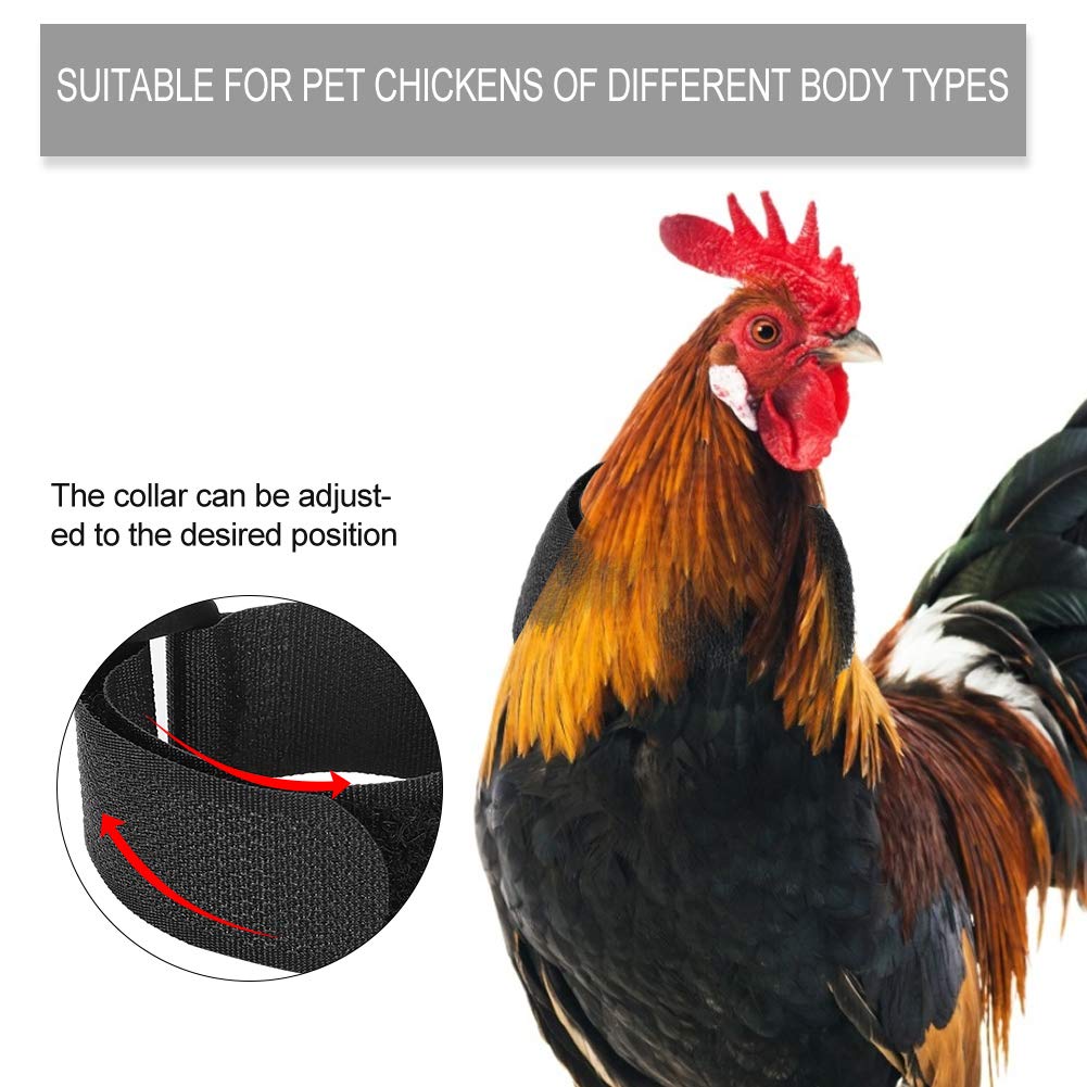 Collier anti-crochet anti-bruit pour coqs d'animaux de compagnie, 10 pièces, empêche les poules de crier (style normal) (Type 2)