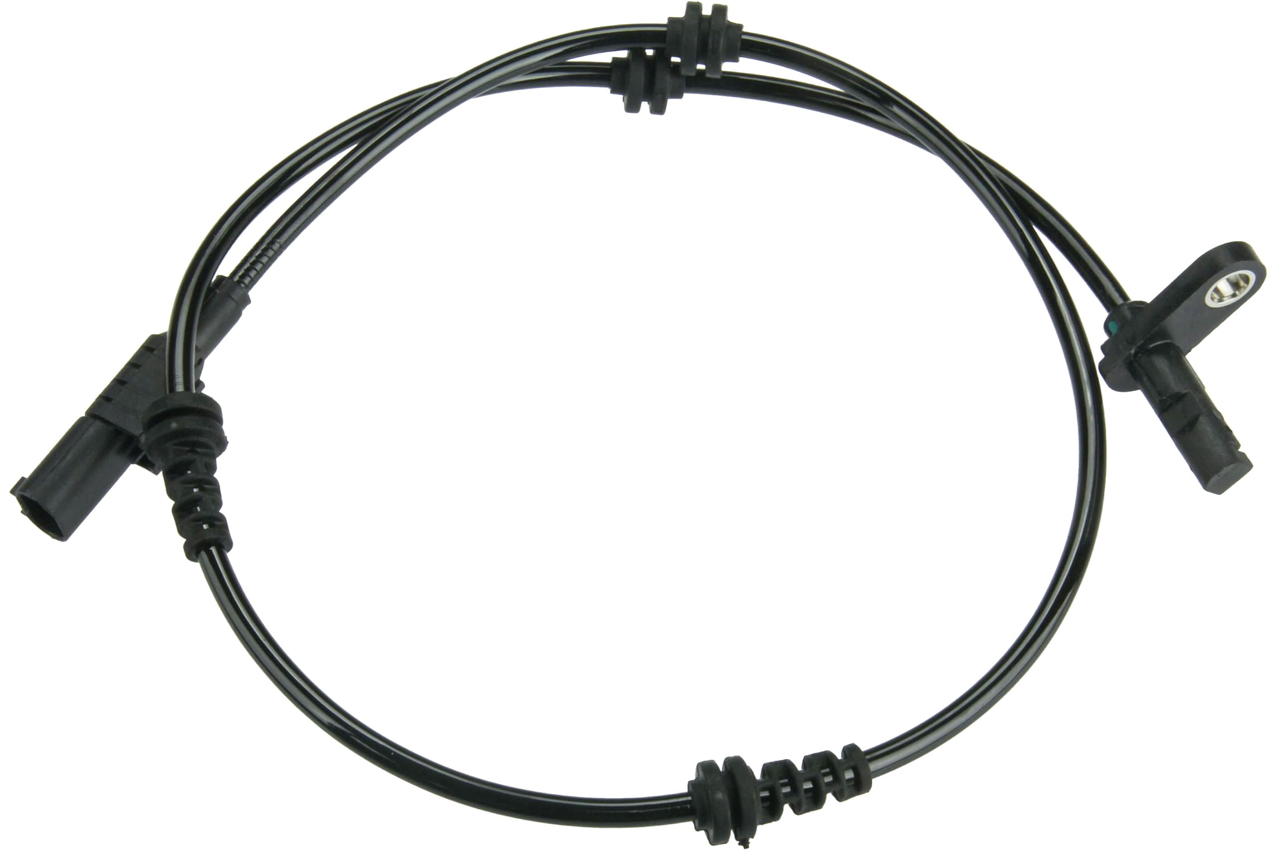 メル25773 719+h+ZMSCL._AC_UF350,