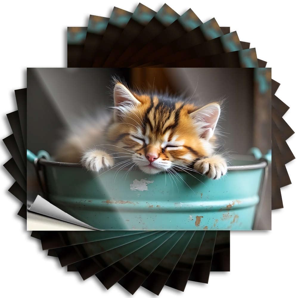 A Cute Kitten Sleeping in A Green Bucket. Bumper Friends | Books Bottle Removable Decal Pack(12X18CM)