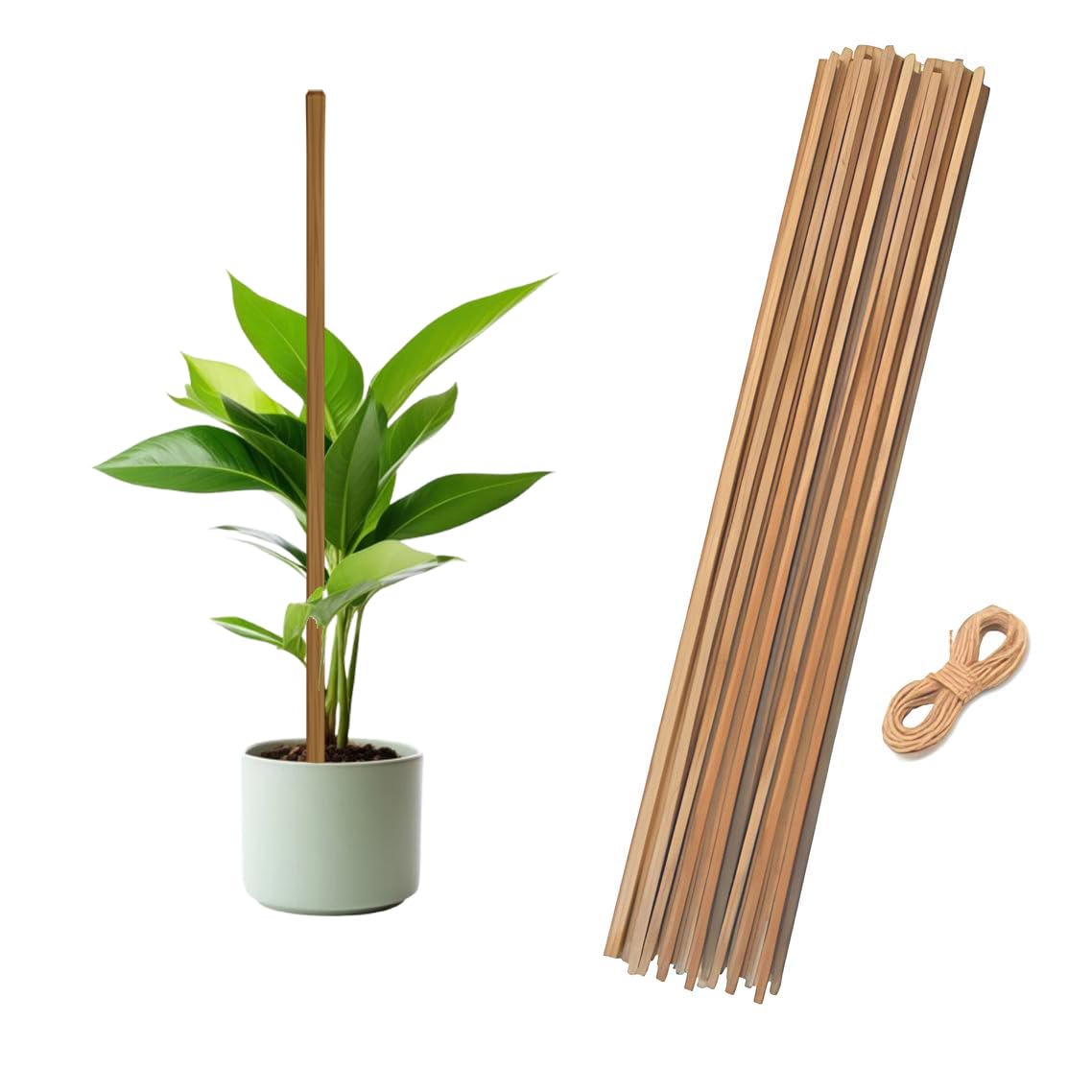 3 feet Premium Natural Teak Wood Plant Support Sticks - Garden Sticks for Straightening Training and Supporting Plants - Strong and Durable Solution for Healthy Growth (12 pcs) (B0CR8JZSMT) Amazon Price History, Amazon Price Tracker