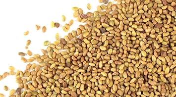 Alfalfa Seeds- Farmer Direct USA Grown- Premium Clean Alfalfa Seed - 25 LBS - High Germination, Conventional Alfalfa Seed -Garden Seed, Cover Crop, Field Growing, Alfalfa Hay, Alfalfa Honey