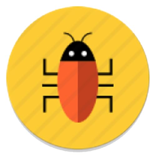 Remote Debug