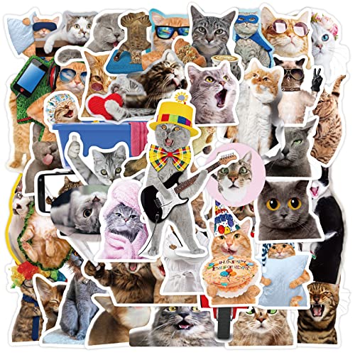 65pcs Realistic Cat Stickers for Kids Teens Adults Cute Aesthetic Stickers for Water Bottle Laptop Skateboard Waterproof Vinyl Pet Sticker Pack