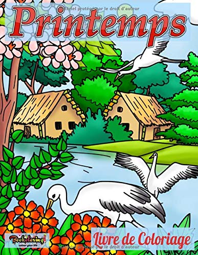 Télécharger Printemps Livre de Coloriage: Livre de coloriage avec 25 dessins exclusifs de paysages avec des fleu livre En ligne