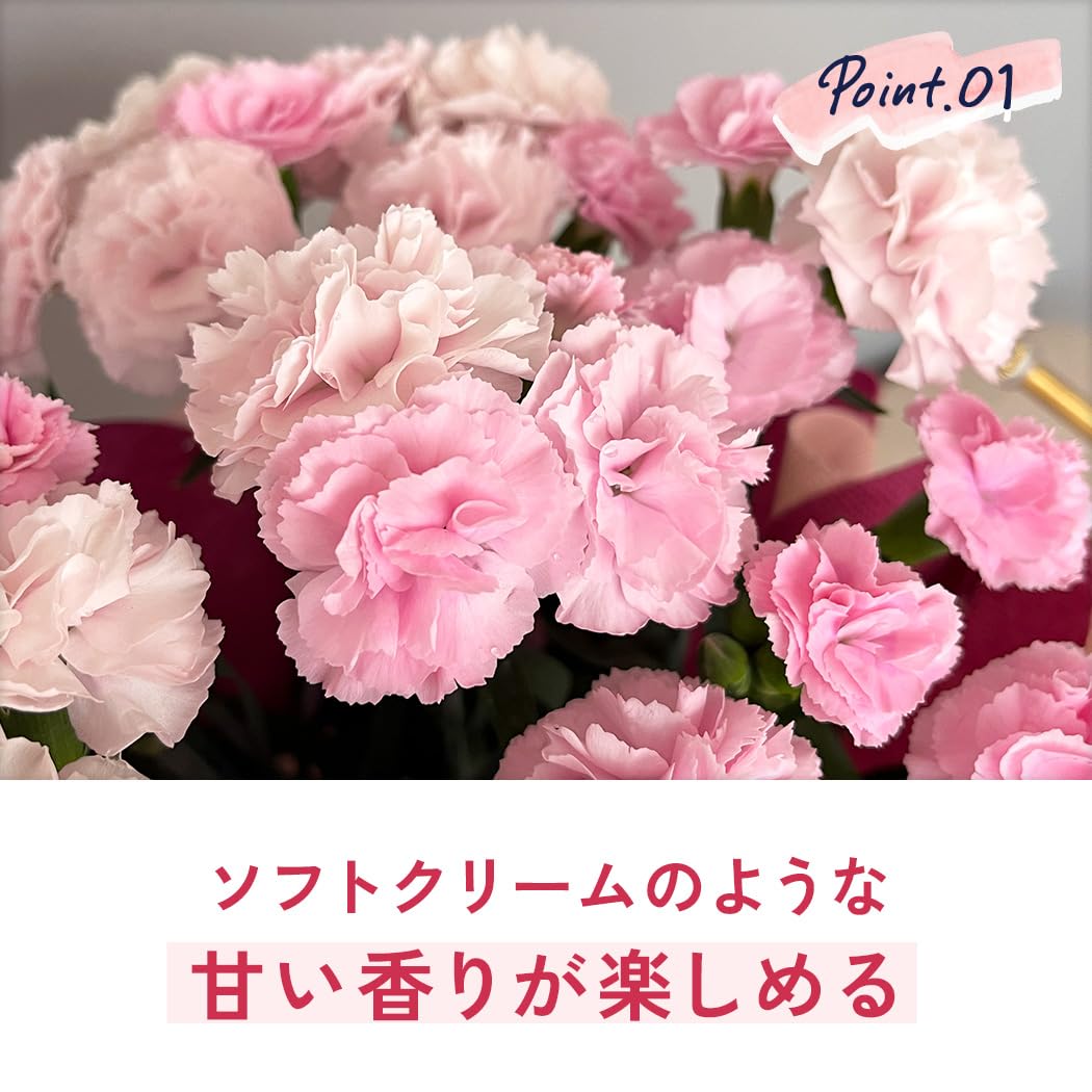 Amazon.co.jp: 来年2027年お届け 【ありがとうを伝える】 母の日 花