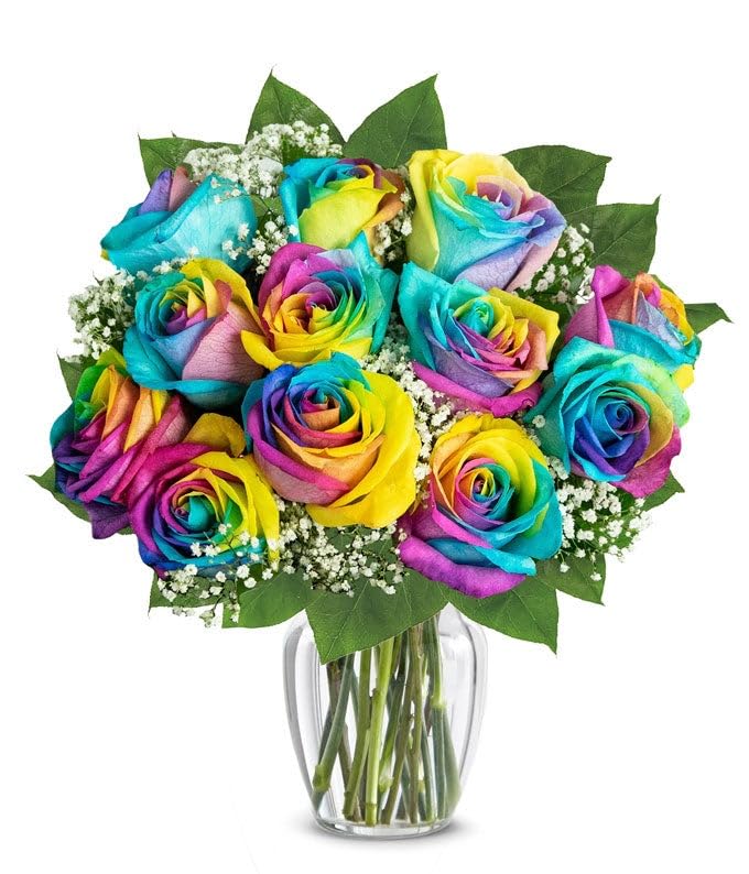 From You Flowers - One Dozen Wild Rainbow Roses with Glass Vase | Fresh Flower Bouquets for Birthday, Anniversary, Get Well or Celebration