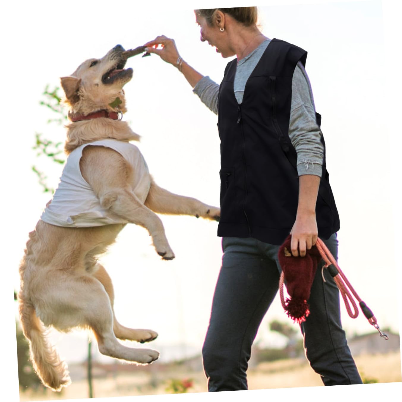 Gilet de Dresseur pour Chien Noir Polyester Mesh, 2 Compartiments Zippés
