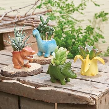 Amazon.co.jp: 【トレジャーボックスポット】トランク