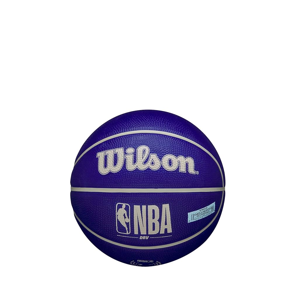 ボール WIND AND SEA x NBA x Wilson Basket Ball Amazon.com : Wilson 29.5