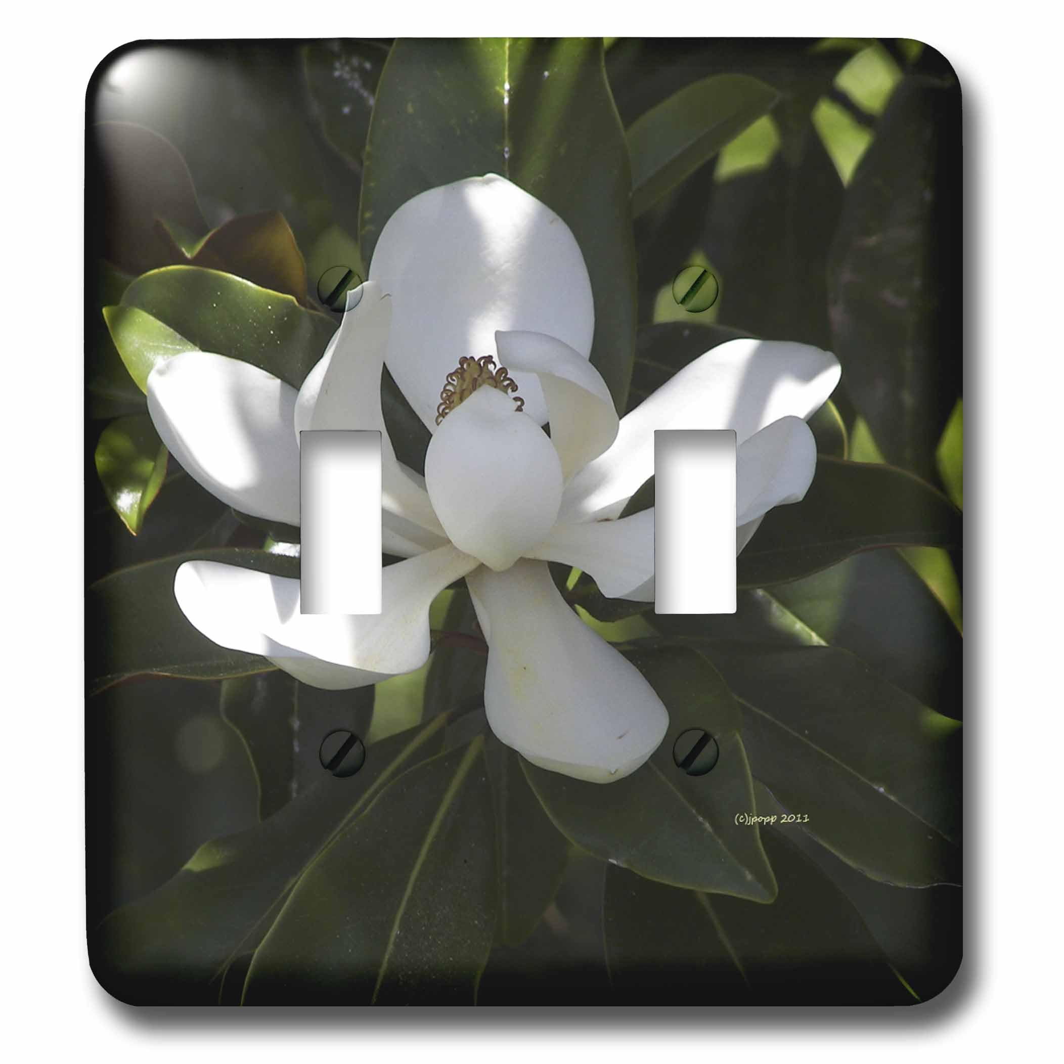 Interrupteur double Southern Magnolia 3dRose lsp_22225_2 en plaque imprimée