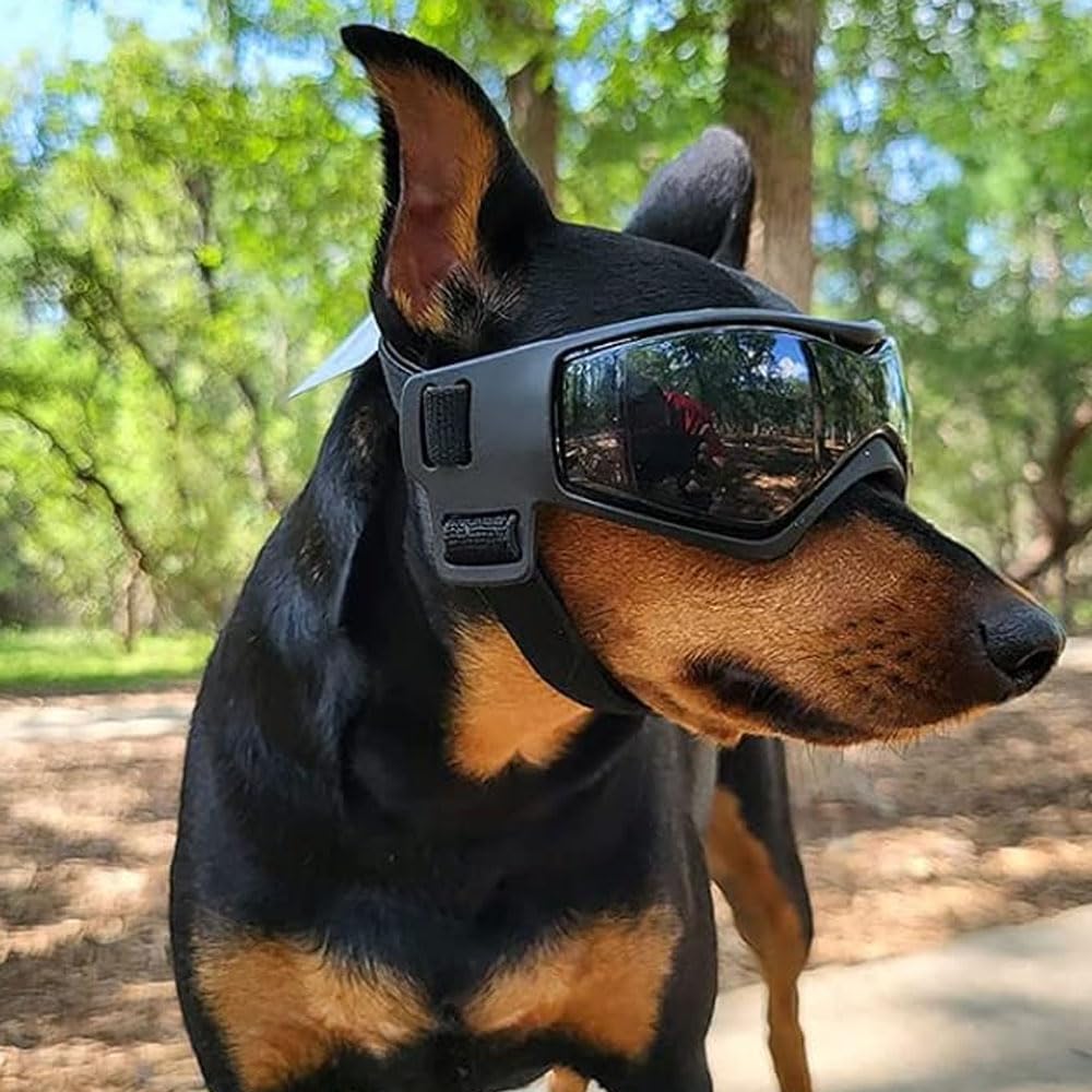 Voarge Occhiali da sole per cani, occhiali protettivi UV, occhiali da sole con fascia elastica regolabile, antivento per cani, occhiali da moto, nero, taglia S