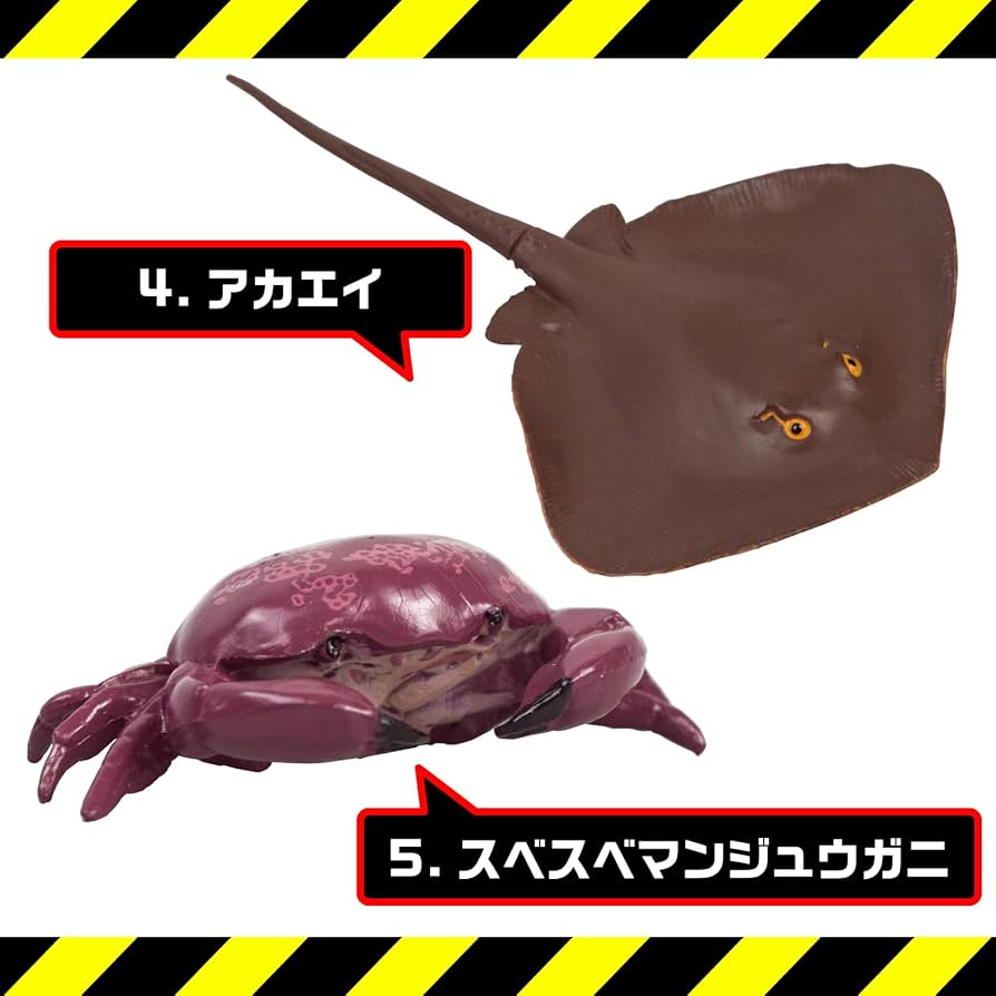 危険生物 hkt-