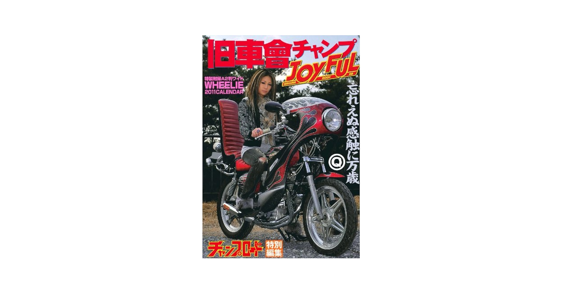 新品レア６枚set⭐️旧朝食　MIKIMOTO別注　バルーン　ムスカリ　雨のち晴れ IMG_68afd6732f07a.jpg