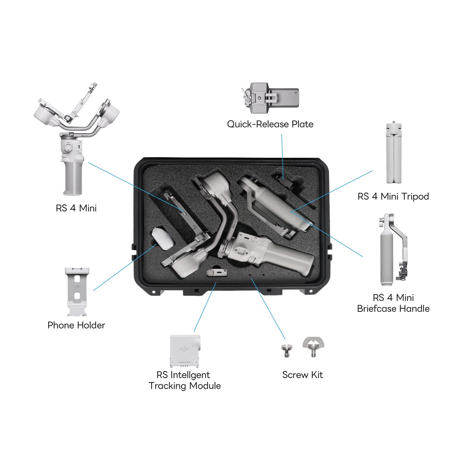 RS 4 Mini étui rigide étanche pour stabilisateur de cardan DJI Ronin RS4 Mini RS3 et accessoires