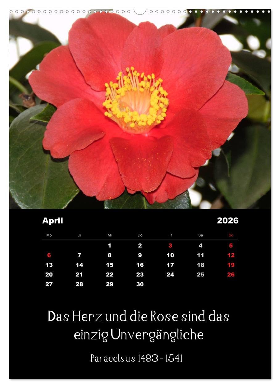 Sprüche und Zitate berühmter Personen über Blumen und Natur (hochwertiger Premium Wandkalender 2026 DIN A2 hoch), Kunstdruck in Hochglanz