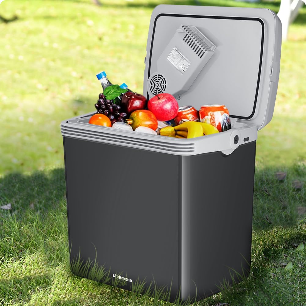Frigorifero Elettrico Portatile 32 Litri, Mini Frigo 230V 12V, Freddo e Caldo per Camion Auto Campeggio