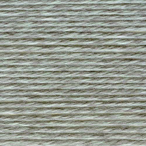 Image of Lion Brand Yarn 135-226 Hometown Yarn, Fayetteville Frost (1 Skein)