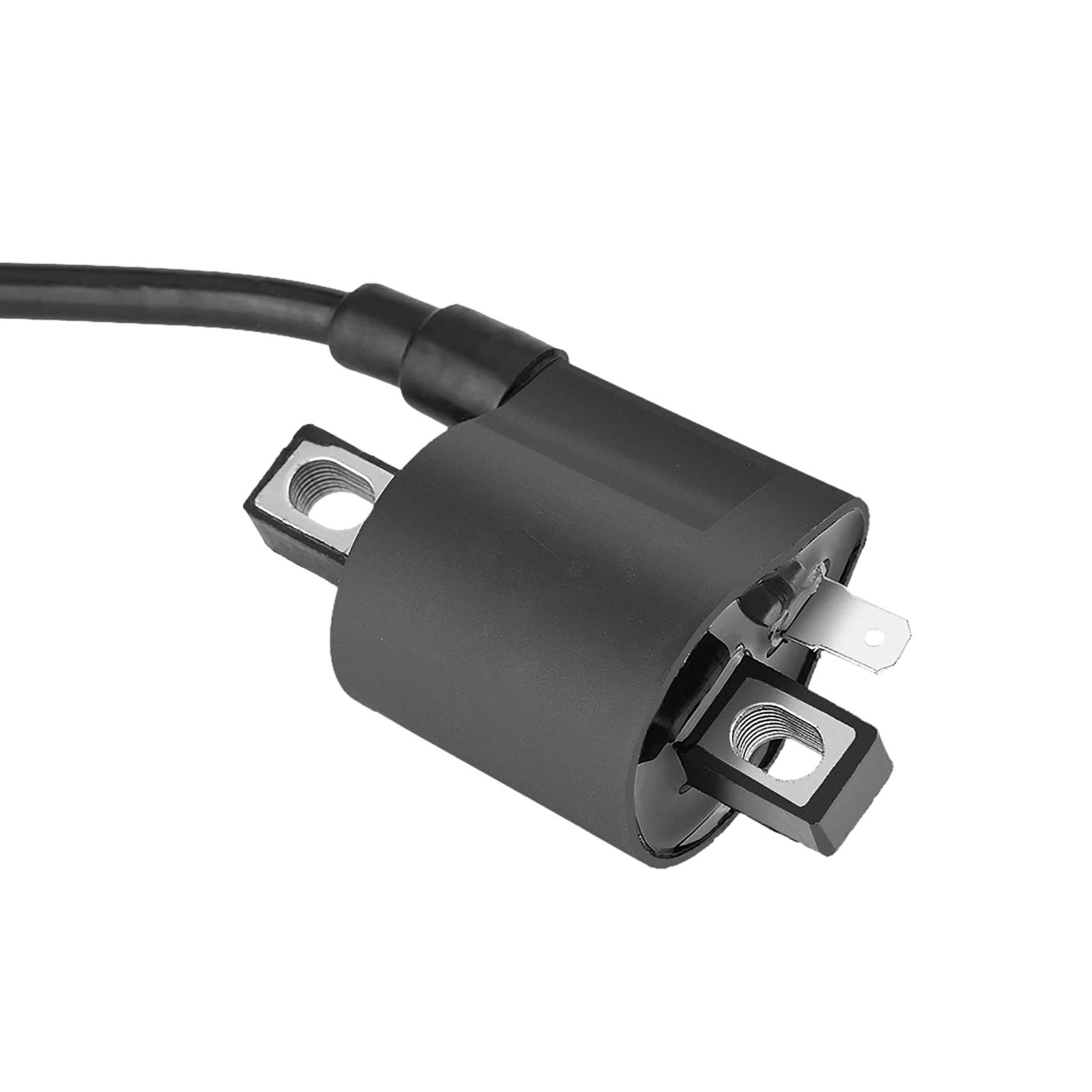 BORDSTRACT Bobina de Encendido 150/200/250cc para Motores de ATV, Quad, Motocicletas de Tierra, Scooters, Buggies y Go-Karts