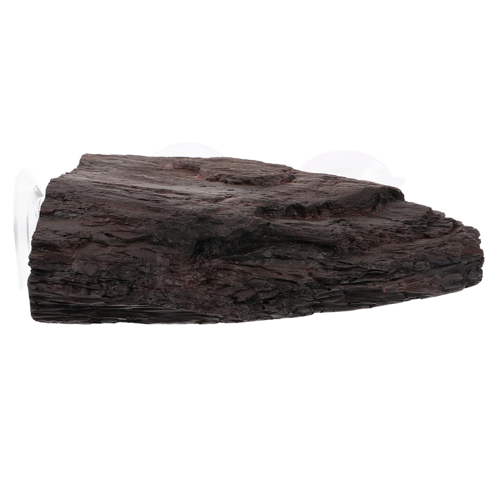 Toddmomy Per Tartarughe Accessorio per Habitat per Rettili Galleggiante e Luogo Basking per Tartarughe e Rettili