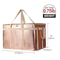 Vista 100 de Bodaon Paquete de 1 bolsas de compras reutilizables aisladas, bolsa enfriadora de picnic XL con cremallera superior para frío, bolsa aislada