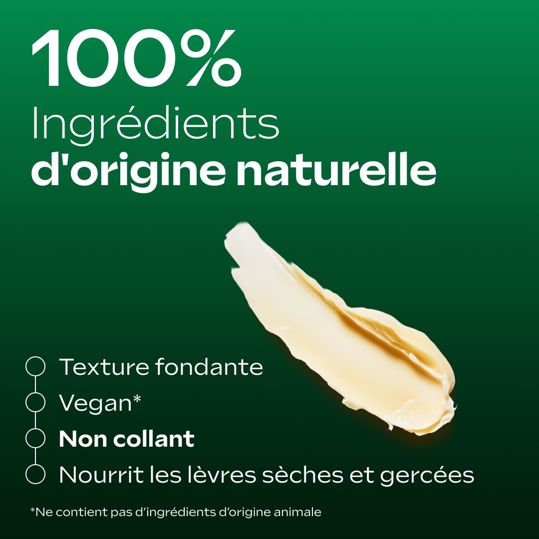 WELEDA - Skin Food Stick lèvres - Nourrit, hydrate en profondeur et répare intensément les lèvres sèches et gercées - Protège du dessèchement - NATRUE - 4.8 Gr
