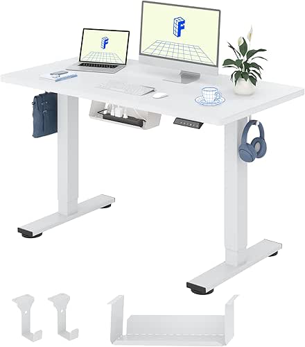 FLEXISPOT Bureau Assis Debout 100x60cm Une Pièce, Bureau Réglable en